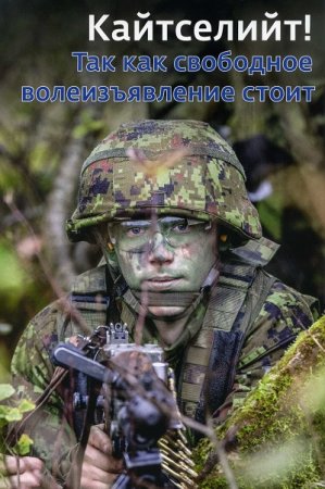 Союз обороны Эстонии